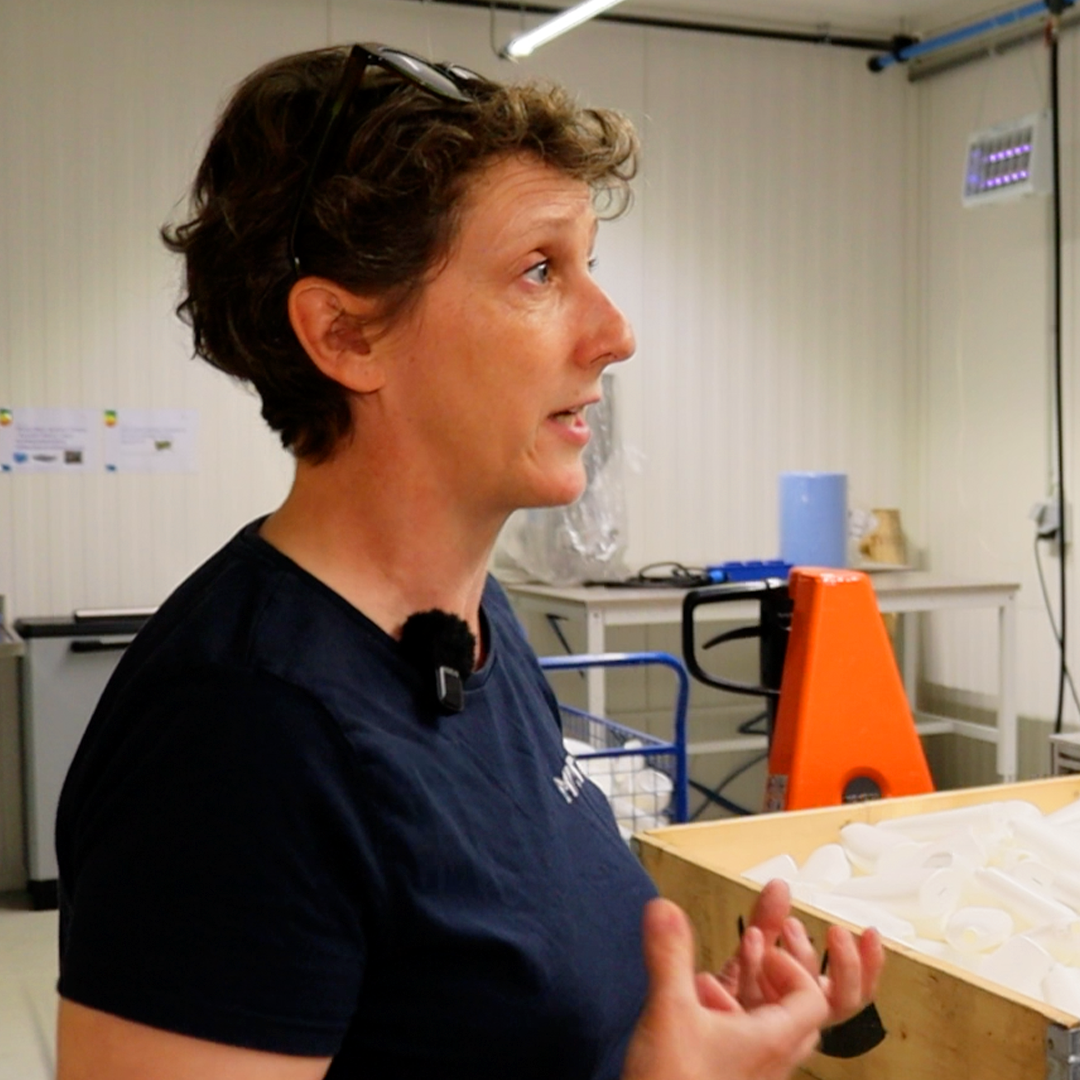 Els Haemers, Maatwerkcoach — Mirto