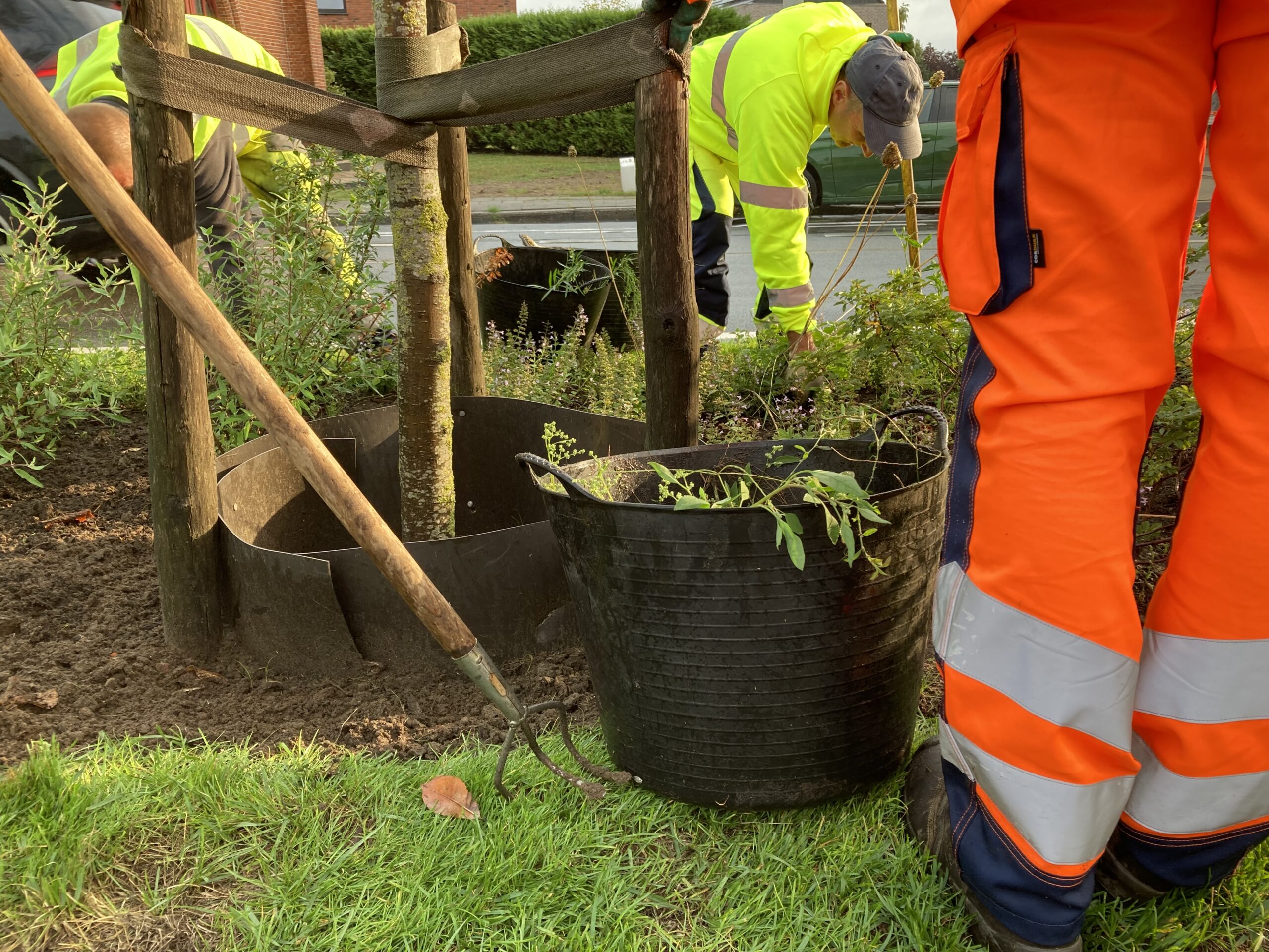 Construction workers in high-visibility clothing planting young trees in large black pots outside, with soil and gardening tools nearby